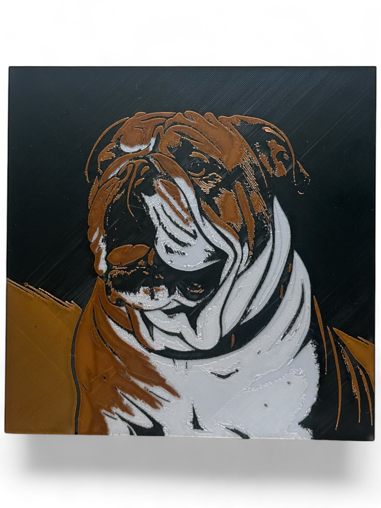 Bull Dog 3D artwork in wood frame