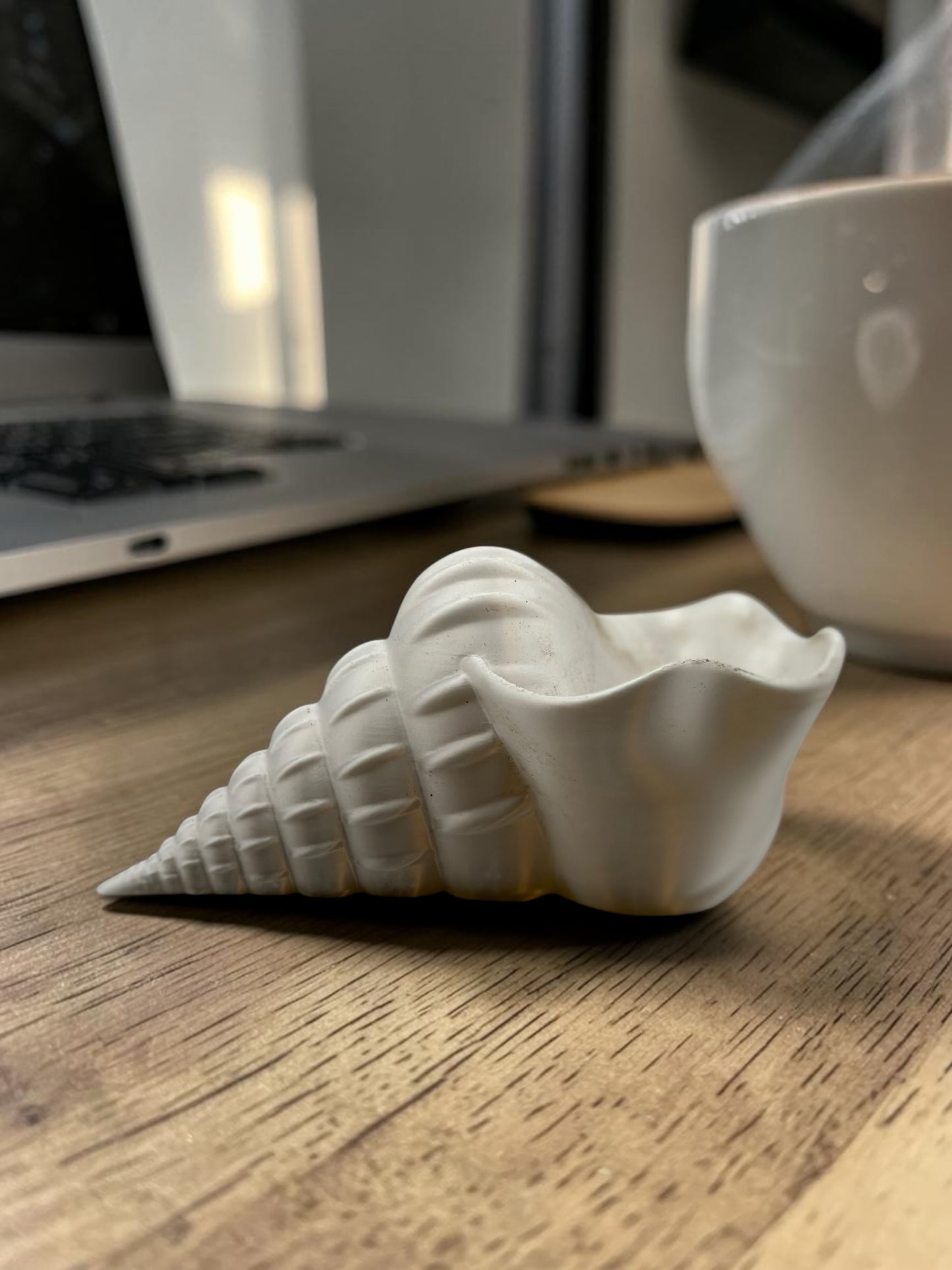 Shell 2" Planter