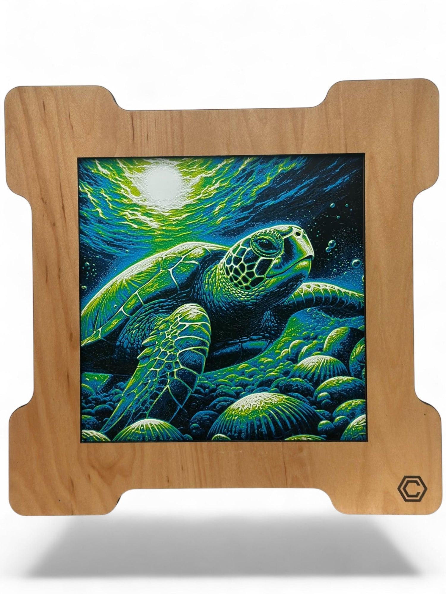 Framed 3D Prints
