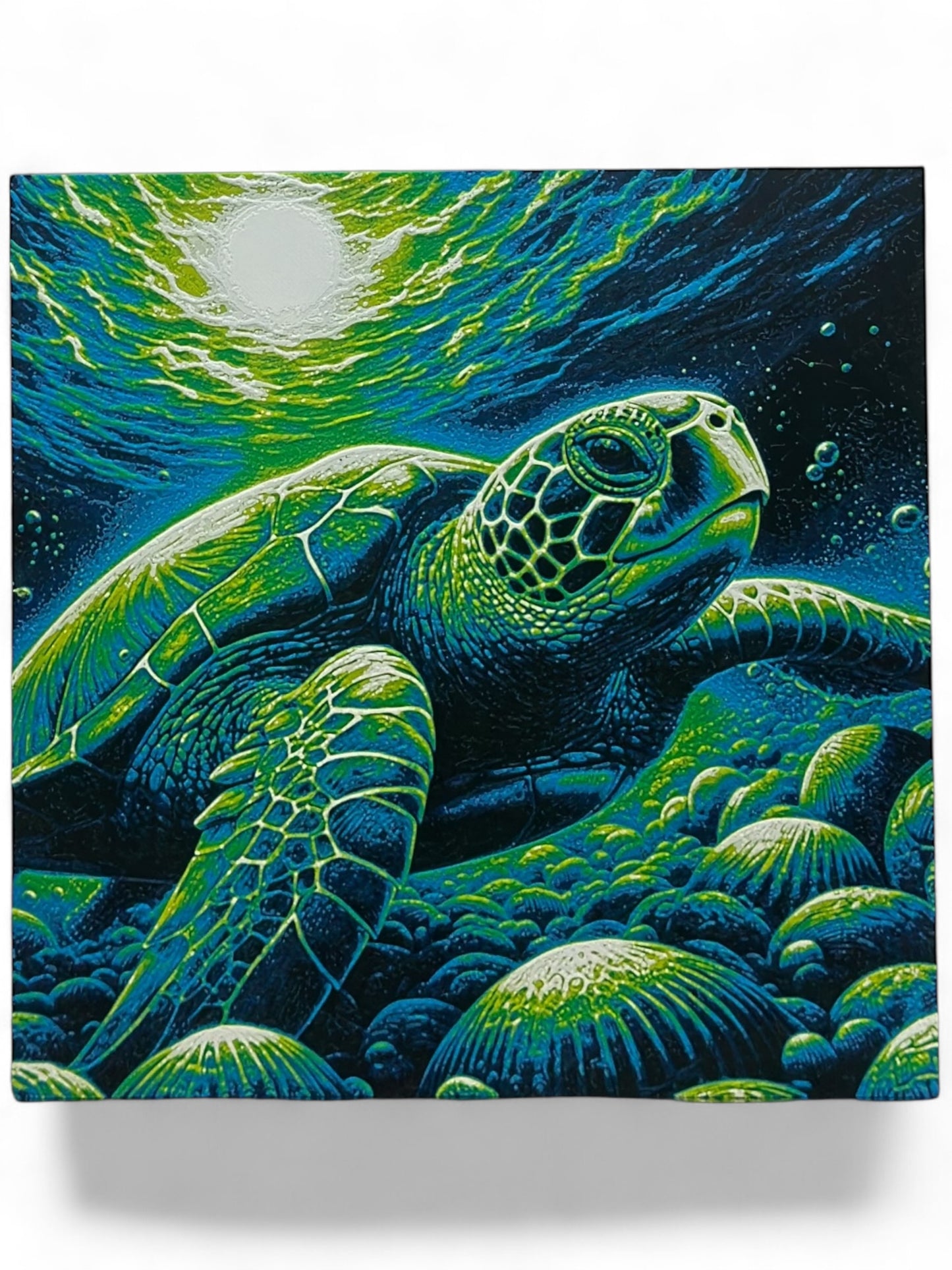 Sea Turtle 3D artwork in wood frame