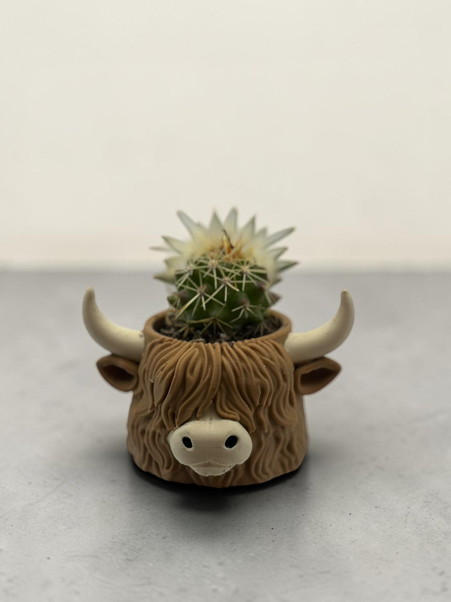 Highland Cow 2" Planter