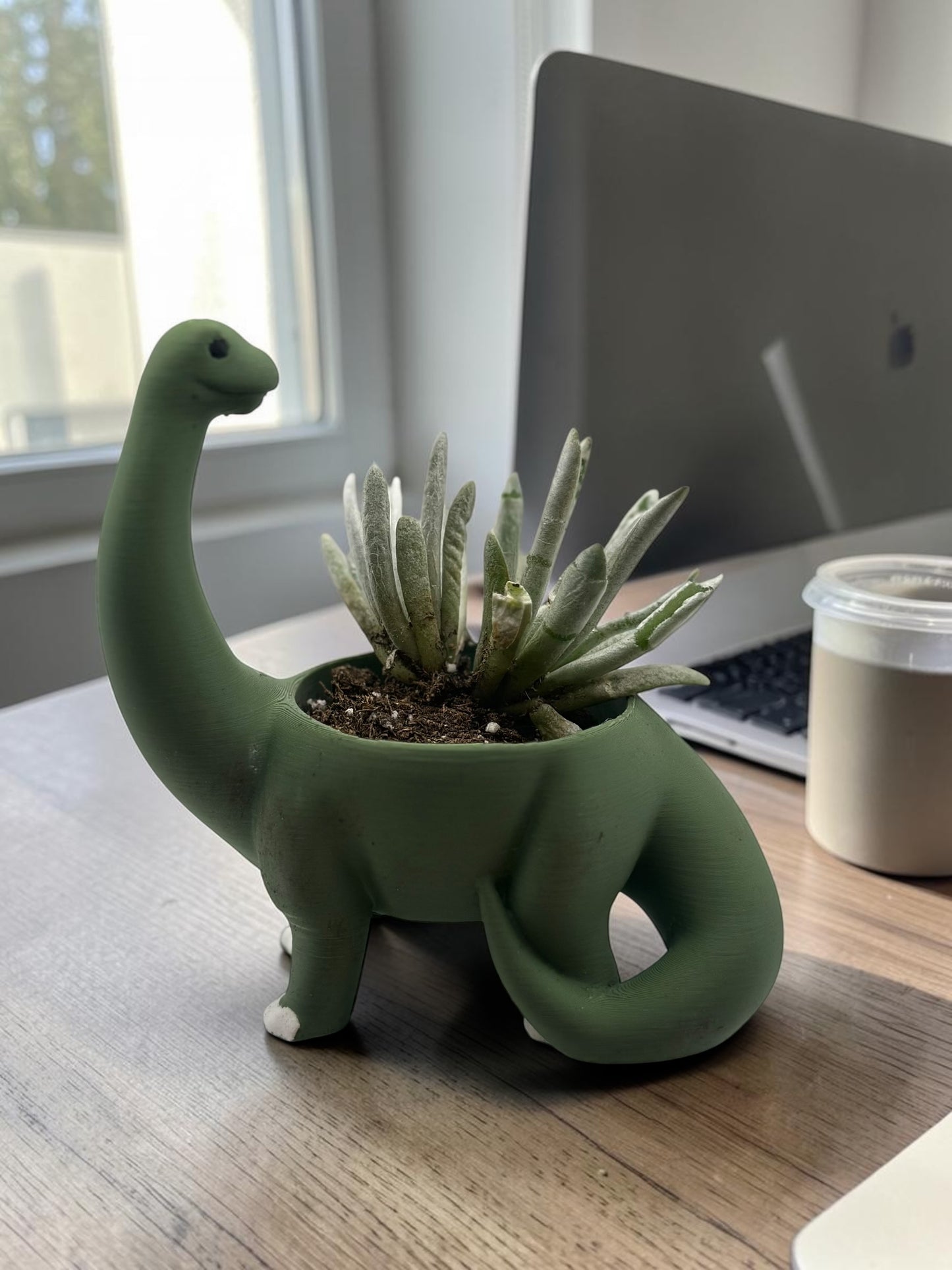 Dinosaur 2" Planter