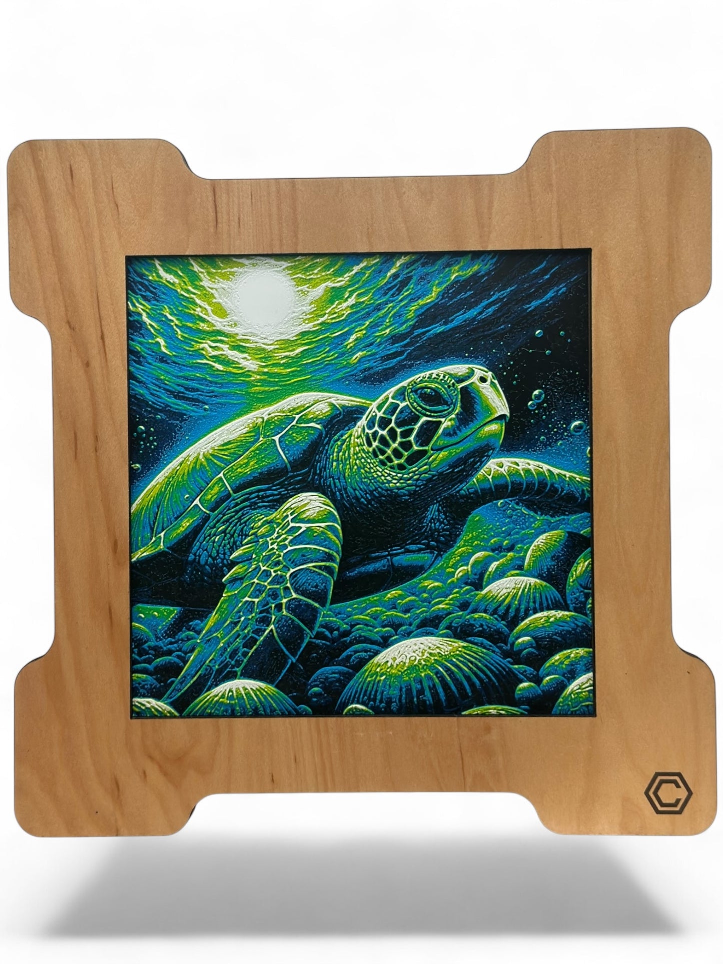 Sea Turtle 3D artwork in wood frame