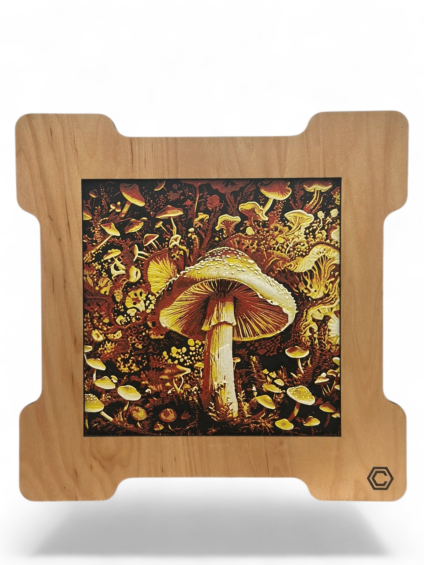 Mushroom 3D artwork in wood frame