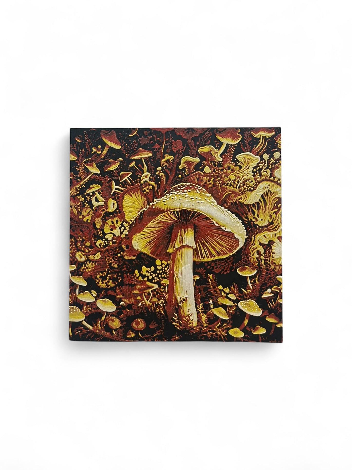 Mushroom 3D artwork in wood frame