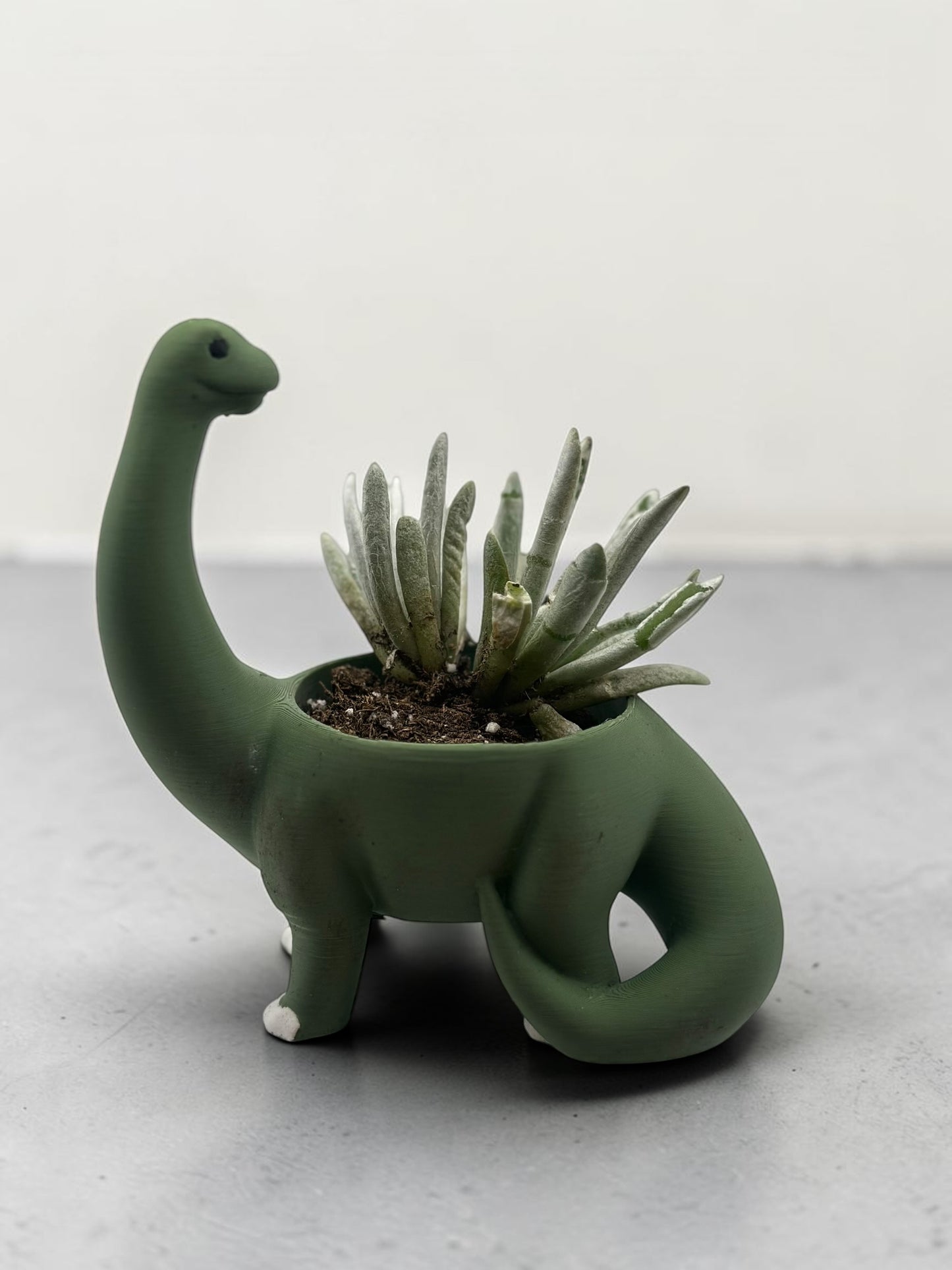 Dinosaur 2" Planter