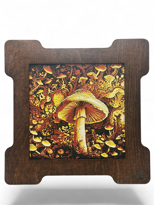 Mushroom 3D artwork in wood frame