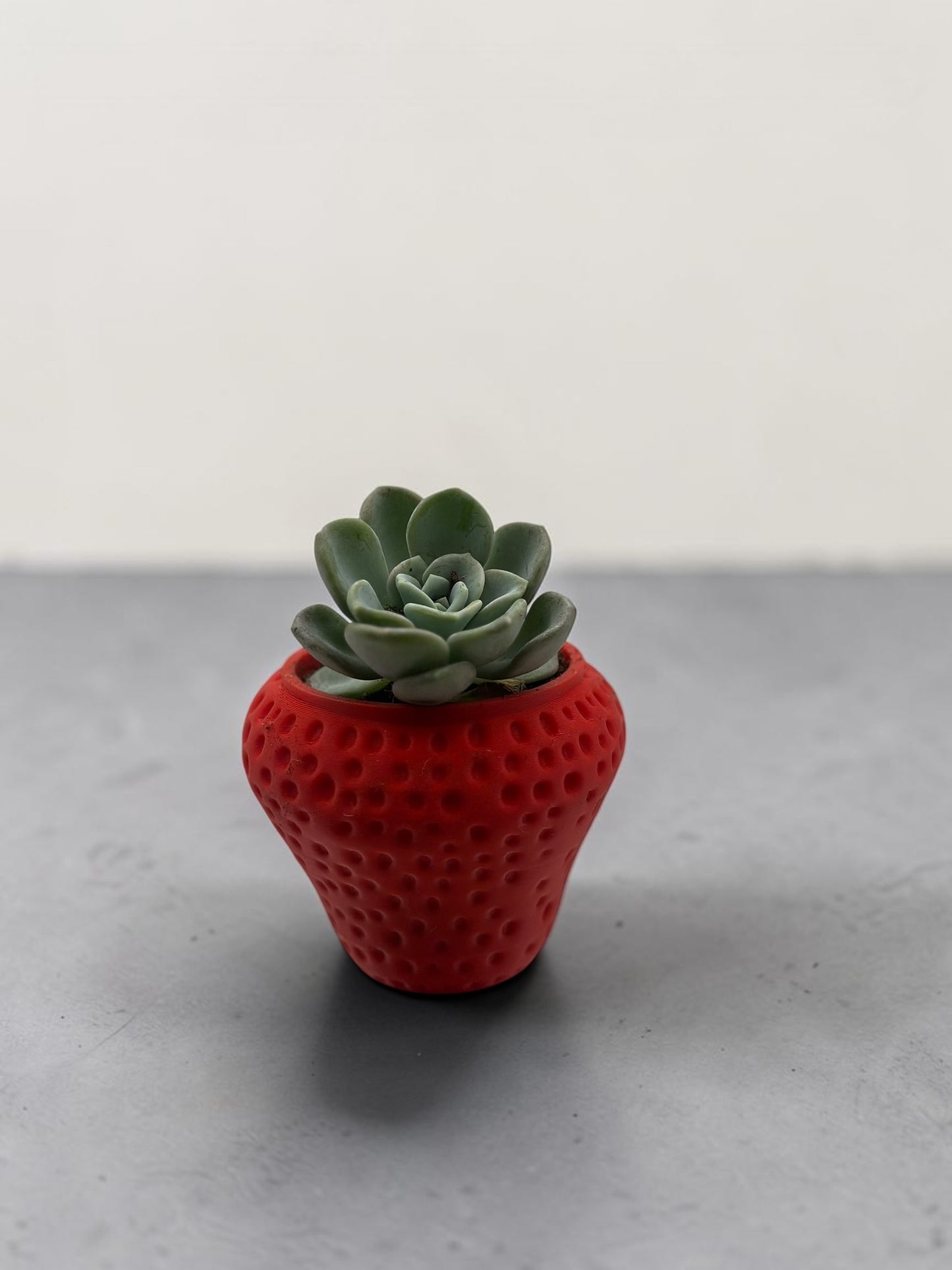 Strawberry 2" Planter