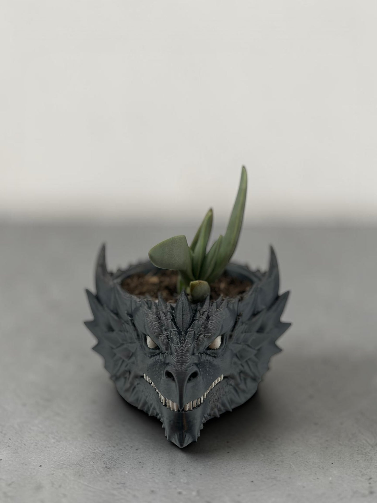 Dragon Head 2" Planter