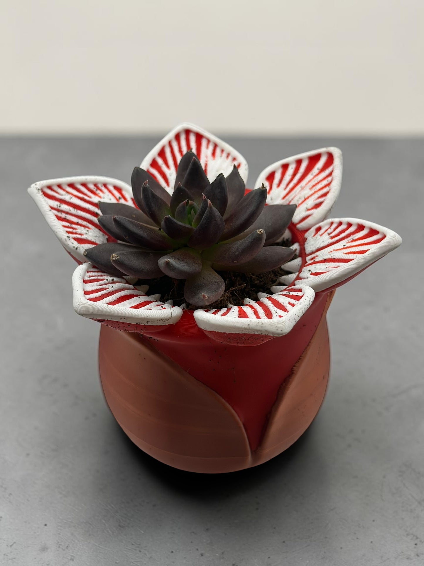 Demogorgon 2" Planter