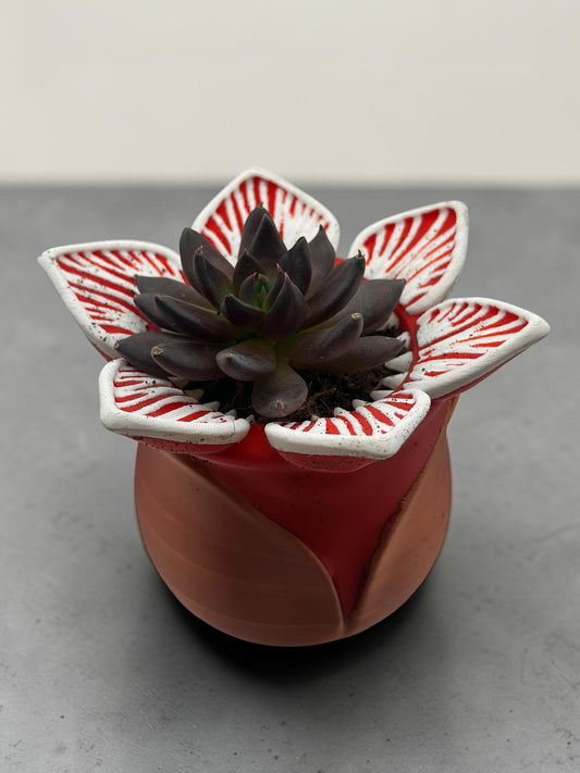 Demogorgon 2" Planter