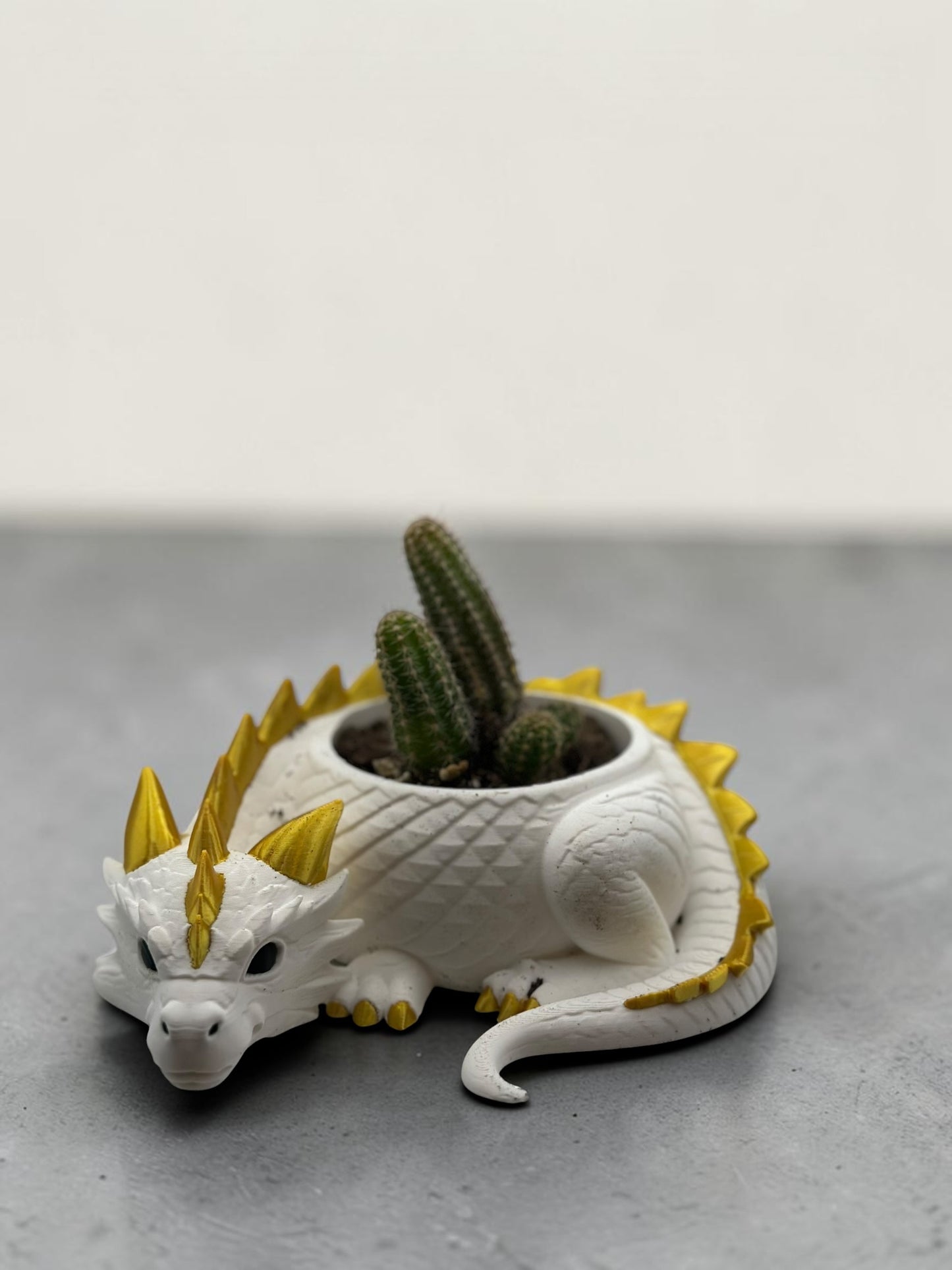 Dragon 2" Planter
