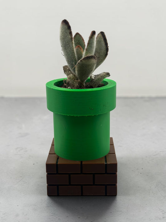 Warp Tube 2" Planter