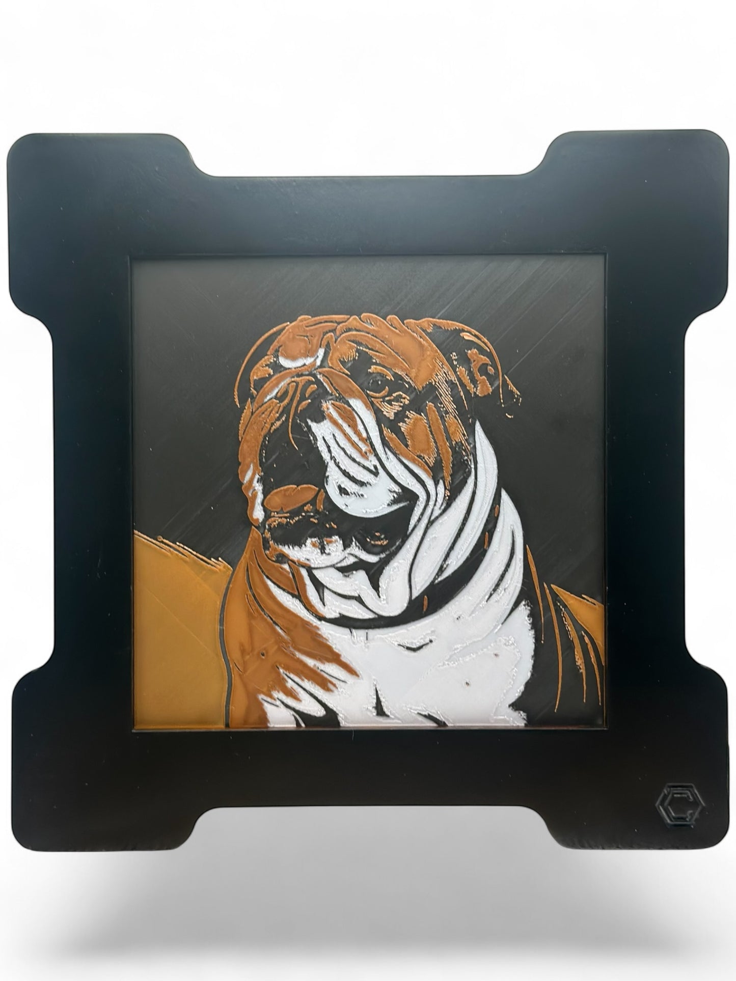 Bull Dog 3D artwork in wood frame