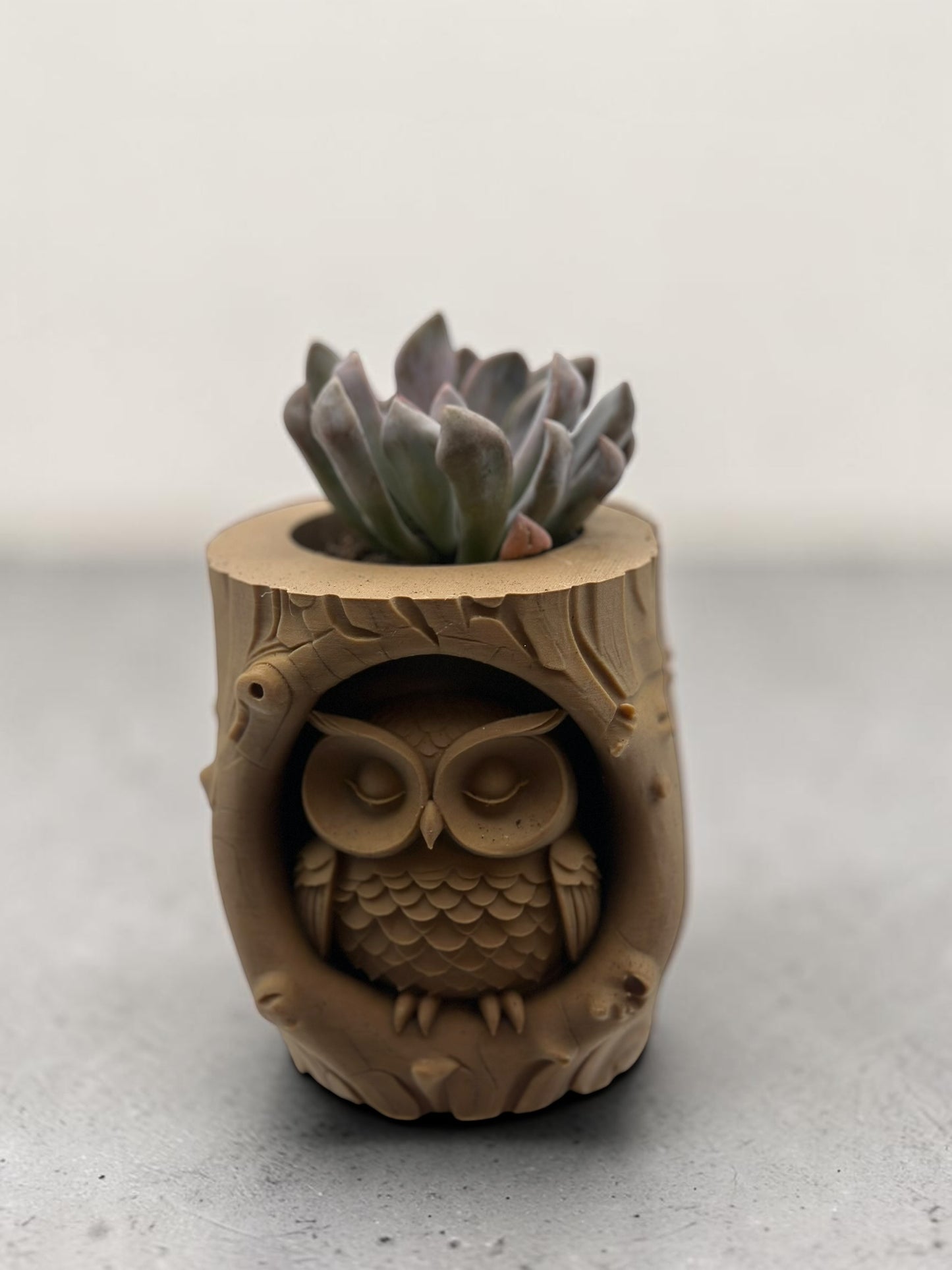 Owl Stump 2" Planter