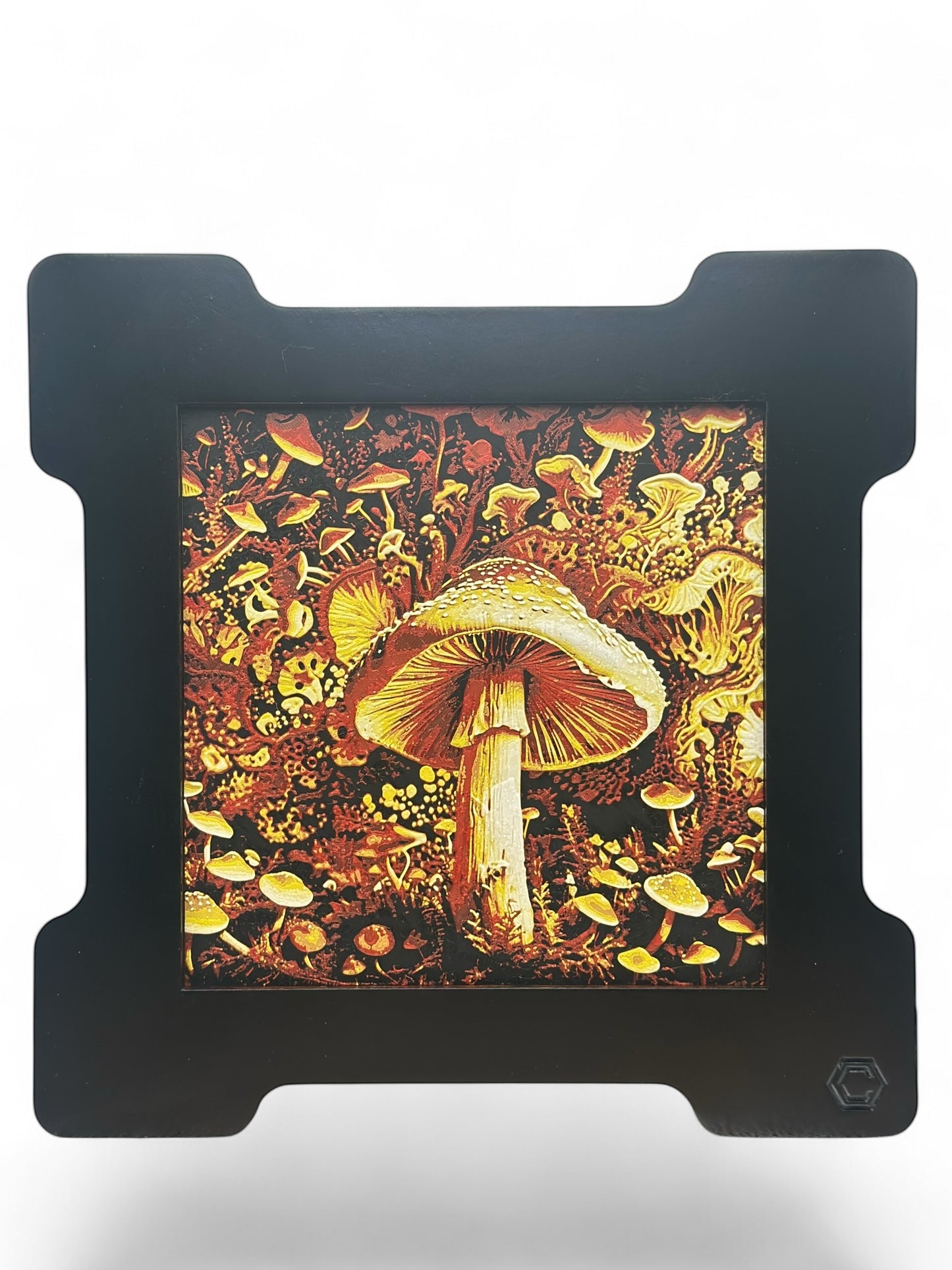 Mushroom 3D artwork in wood frame