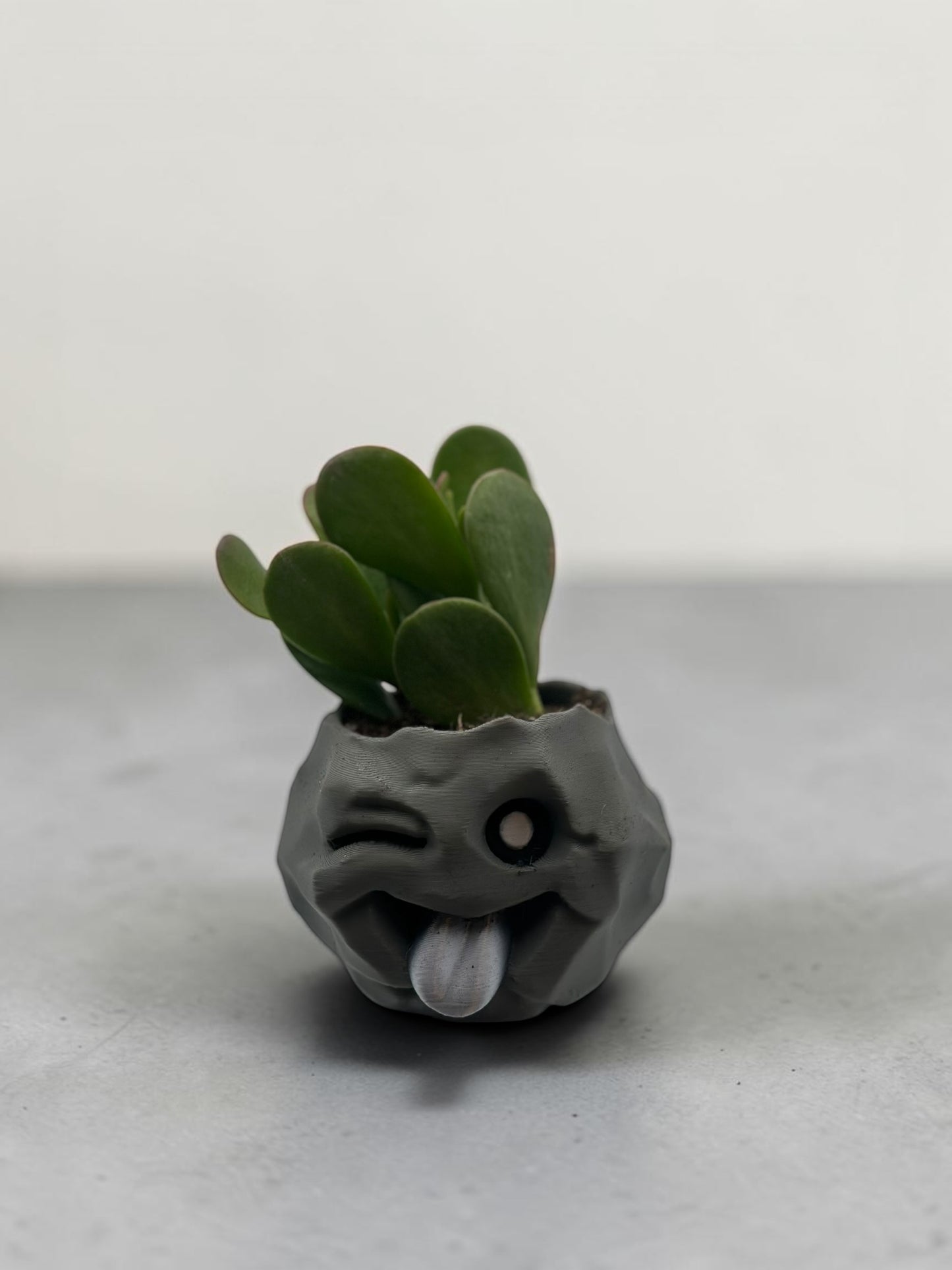 Rock Head 2" Planter